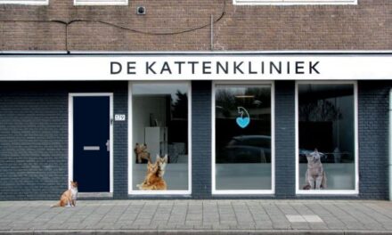 Nokia and KPN successfully trial 25G PON in Rotterdam animal hospital